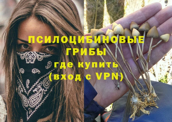 PSILOCYBIN Белокуриха