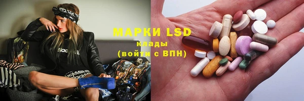 PSILOCYBIN Белокуриха