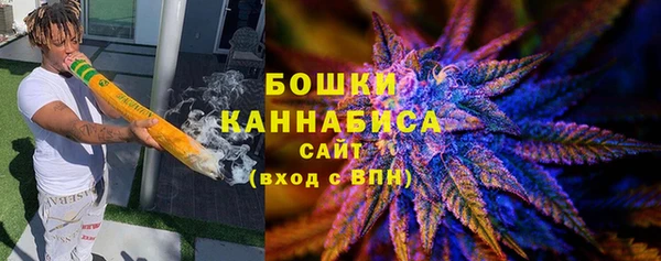 сатива Балахна