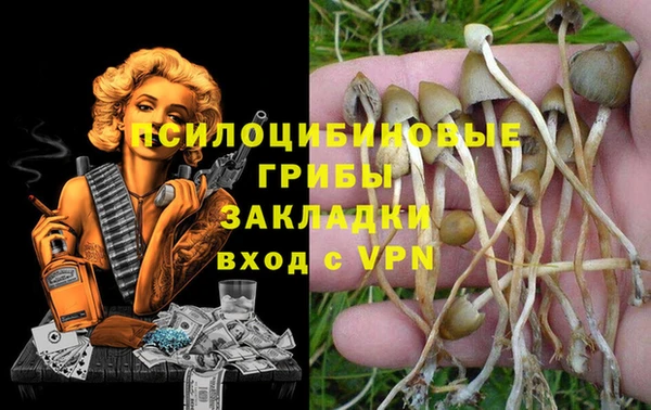 сатива Балахна