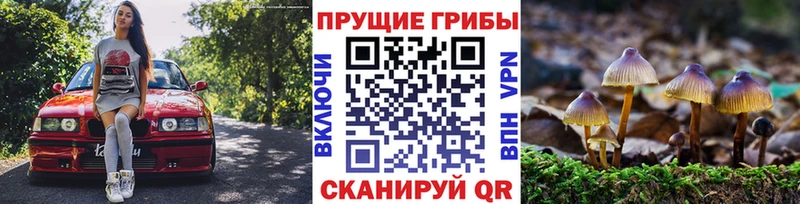blacksprut рабочий сайт  Салават  Галлюциногенные грибы мицелий  купить наркоту 